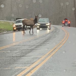 Meet your Posher, Marilyn